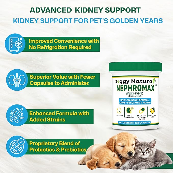 NEPHROMAX™ Synbiotic Capsules for Kidney Support for Dogs & Cats (120 Small Capsules) - Advanced Next-Generation Enteric detoxifying Proprietary Blend of Pre & Probiotics for Kidney Function,U.S.A