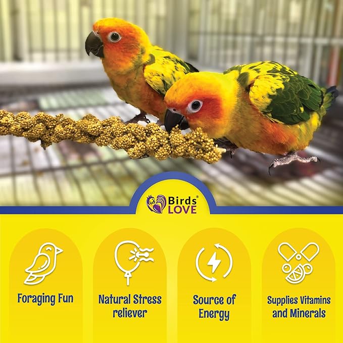 Birds LOVE Economy Special Spray Millet | GMO-Free (No Stems Only Edible Tops) for Birds Cockatiel, Lovebird, Parakeet, Finch, Canary All Parrots Healthy Treat 7 oz -Pack of 2