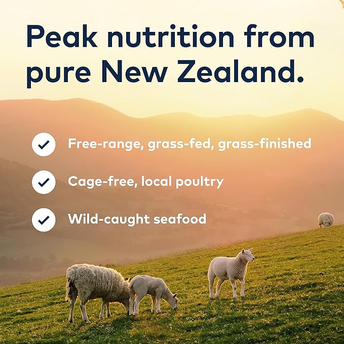 ZIWI Peak Air-Dried Cat Food – Beef - All Natural, High Protein, Grain Free, Limited Ingredient w/ Superfoods (14oz)
