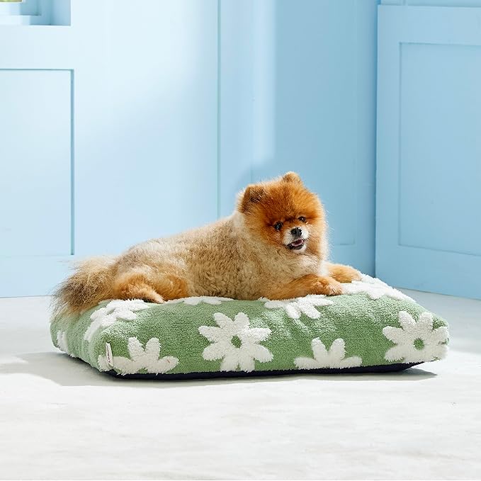 LE SURE Small Dog Beds-Thick Shredded Chopped Foam Pet Bed Indoor with Removable Cover, Cute Modern Fuzzy Plush & Anti Slip Bottom, Green
