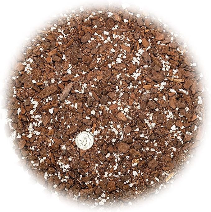 GARDENERA Monstera Adansonii Premium Potting Mixture: Promote Aeration, Drainage & Nutrient Uptake - 2 Quart