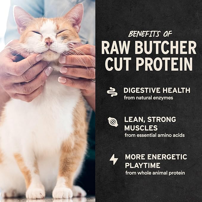 Vital Essentials Ahi Tuna Bites Cat Treats, 1.1 oz | Freeze-Dried Raw | Single Protein | Grain Free, Gluten Free, Filler Free