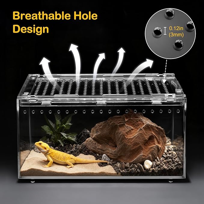 XLarge Reptile Terrarium Starter Kit,Magnetic Jumping Spider Enclosure,Hermit Crab Tank,Arboreal Tarantula Cage for Praying Mantis,Frog Vivarium,Lizard Container,Insect Housing,Gecko Habitat
