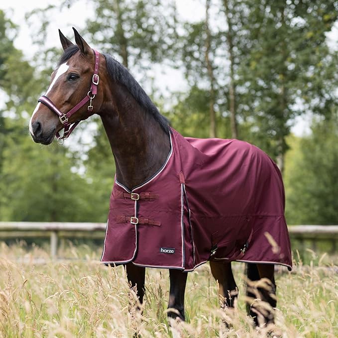 HORZE Glasgow Light Weight Waterproof Turnout Horse Sheet (No Fill) - Burgundy - 69 in