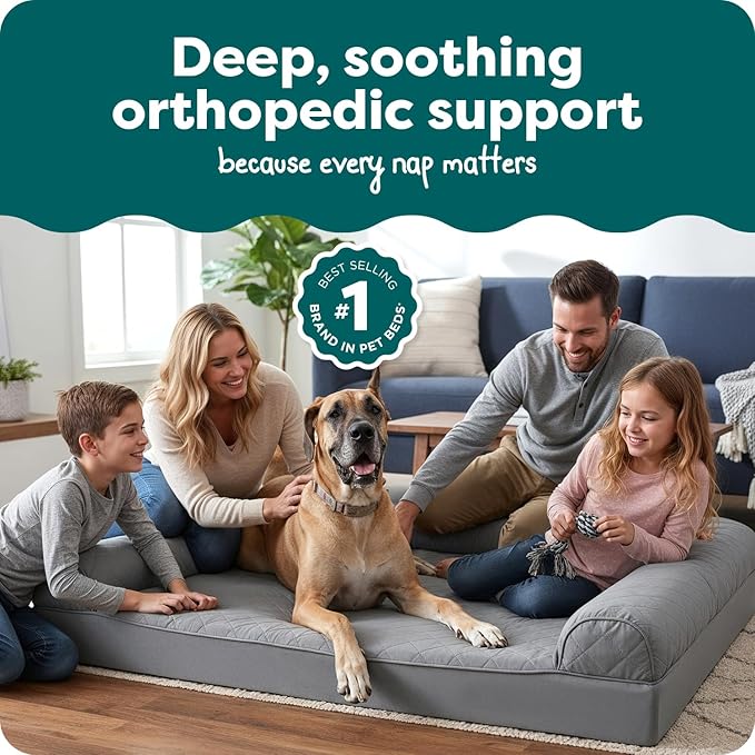Furhaven Orthopedic Dog Bed for Large Dogs w/ Removable Bolsters & Washable Cover, For Dogs Up to 125 lbs - Quilted Sofa - Silver Gray, Jumbo Plus/XXL