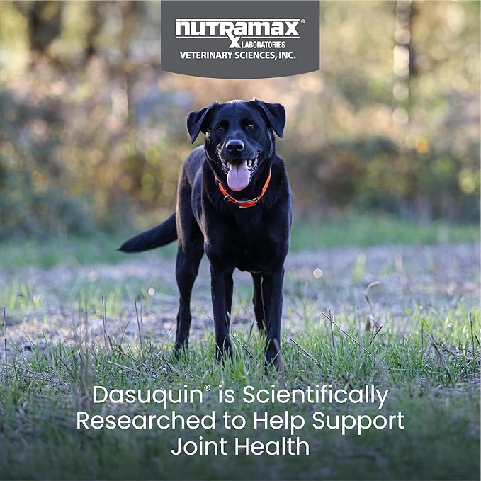 Dasaquin Dog Joint Supplement Chew Tablet (150 Count) Dog Size: Large (60+ lbs)