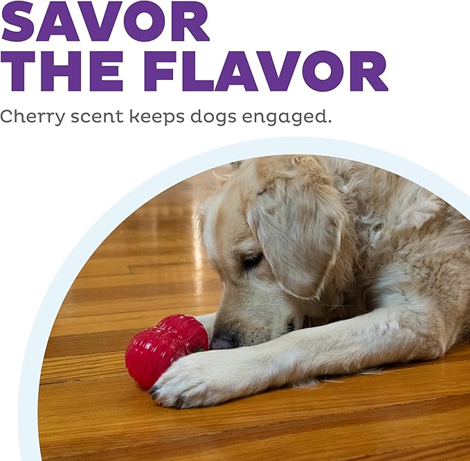 Outward Hound Gummiez Cherries 2-in-1 Dental Dog Chew Toy and Dog Treat Stuffer Game, Cherry Scent, Red