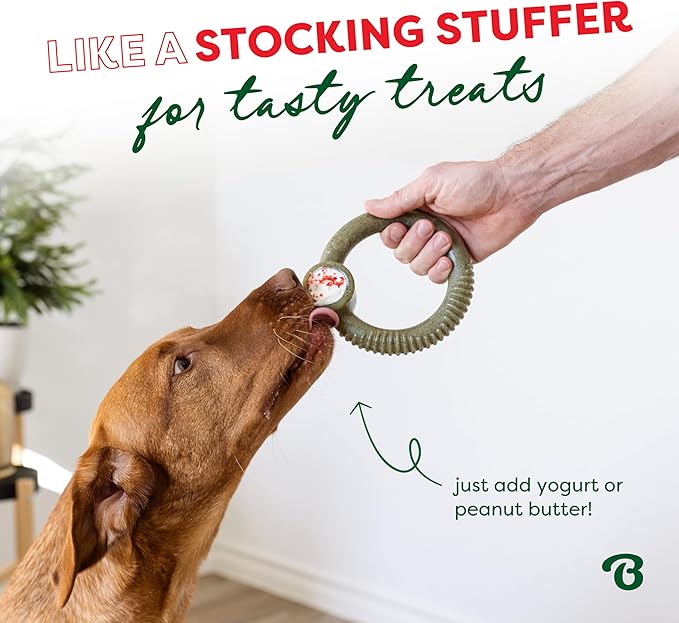 Benebone Peppermint Ring – Limited Edition Holiday Flavor, Durable Chew Toy for Aggressive Chewers, Made in USA, Small