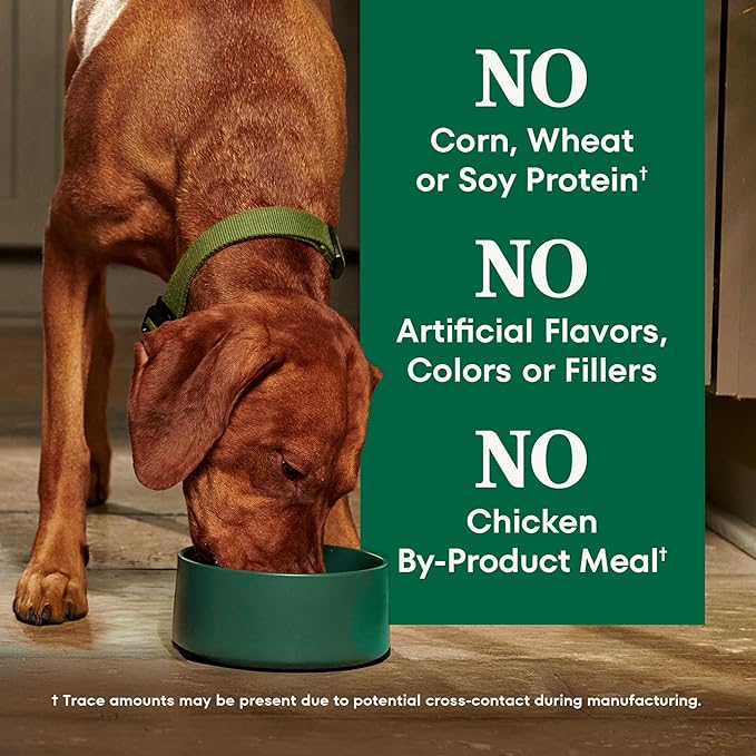 Nutro Natural Choice Beef & Brown Rice Adult Dry Dog Food Recipe, 4.5 lb. Bag