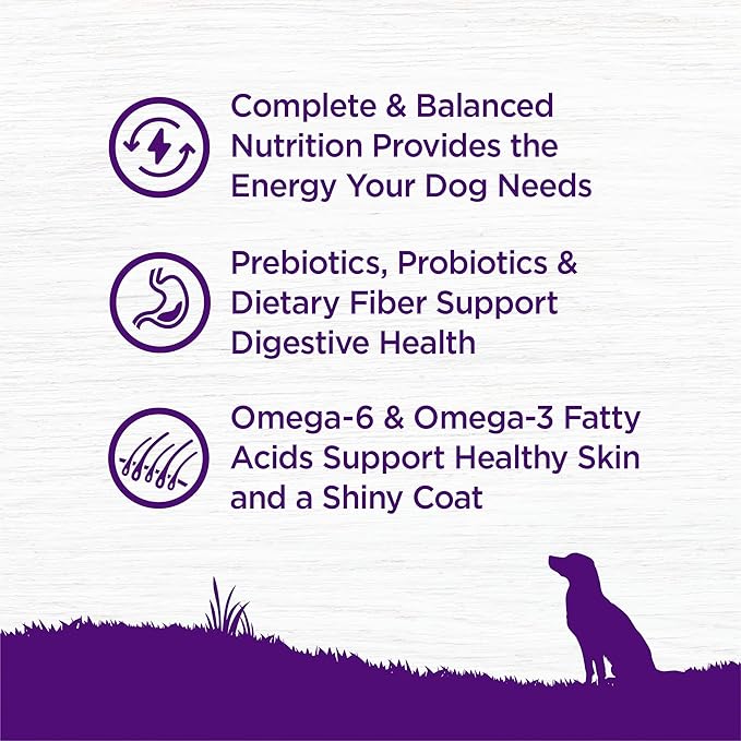 Wellness Complete Health Dry Dog Food, Grain Free, Natural, Lamb Recipe, (22-Pound Bag)