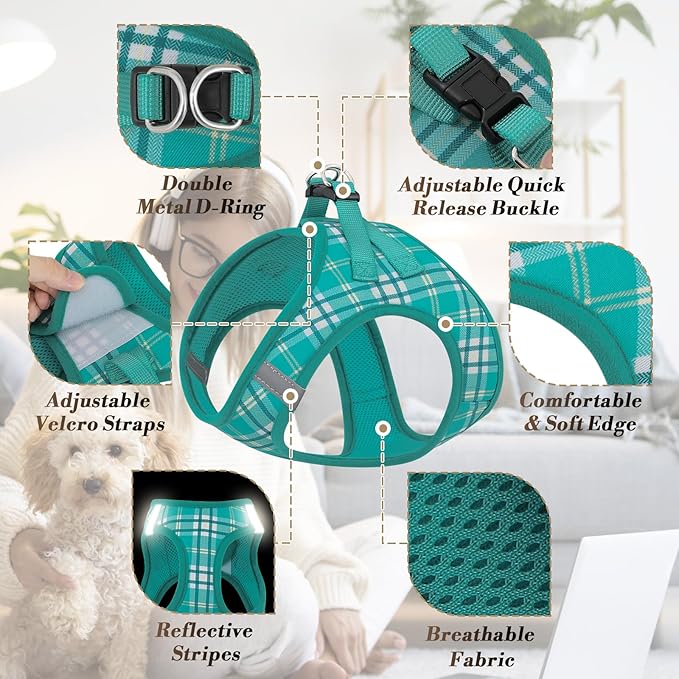 Athena Collection Step-in Dog Harness with 5 ft Leash, Large Dog Harness Leash Set Large No Pull Dog Vest Harness with Reflective Strips Adjustable Velcro, Easy Walk Dog Harness, Green