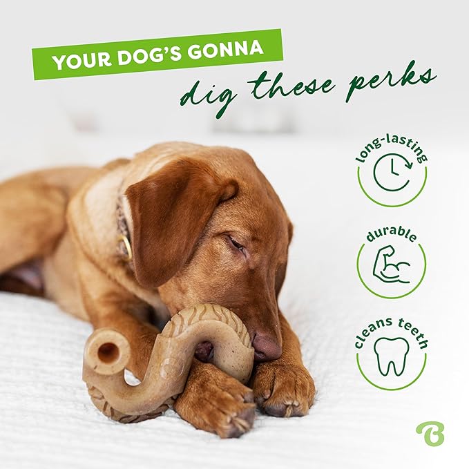 Benebone Tripe Bone Durable Dog Chew Toy for Aggressive Chewers, Real Tripe, Made in USA, Medium