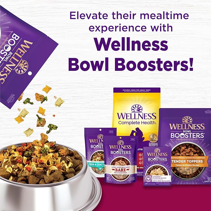 Wellness Complete Health Small Breed Dry Dog Food with Grains, Natural Ingredients, Made in USA with Real Turkey, For Dogs Up to 25 lbs (Adult, Healthy Weight Turkey & Rice, 4-Pound Bag)