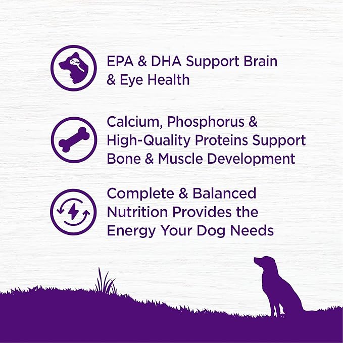 Wellness Complete Health Puppy Dry Dog Food, Grain Free, Natural, Chicken & Salmon Recipe, (22-Pound Bag)