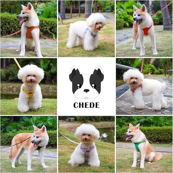 CHEDE No Pull Puppy Harness and Multifunction Dog Leash Set- 8 Colors Soft Adjustable No Choke Escape Proof Cute,Lightweight Pet Vest Harness for Small and Medium Dog…