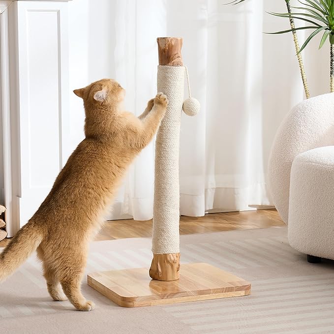 29" Tall Cat Scratching Post with Sisal Scratcher, Extra-Stable & Natural Solid Rubber Wood Base, Hanging Ball Toy for Indoor Cats Adults & Kittens, White