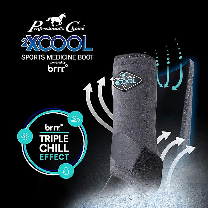 Professional's Choice 2XCOOL Sports Medicine Horse Boots | Protective & Breathable Design for Ultimate Comfort, Durability & Cooling in Active Horses | 2 Pack Small Raspberry
