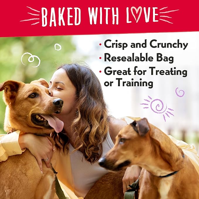 Charlee Bear Bearnola Bites Dog Treats, Pumpkin Spice Flavor, 8oz