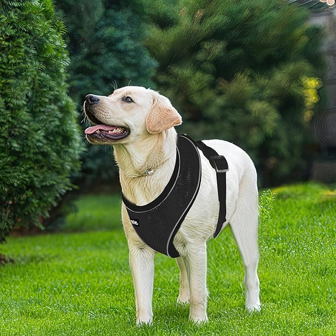 AIITLE Reflective Dog Harnesses, Soft No-Pull Design, Breathable 3-Layer Mesh for Medium Dogs, Adjustable Fit for Hiking, Training – Fits Pugs, Bichon Frise (XL, Black)