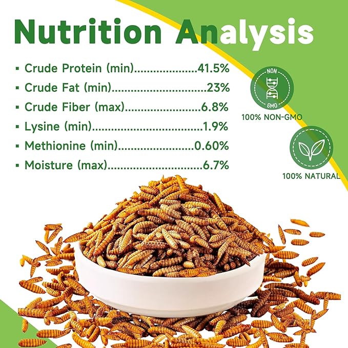 600g Dried Black Soldier Fly Larvae Treat for Chicken, 100% Natural Non-GMO More Calcium Than Dried Mealworms High Protein Chicken Feed for Birds, Ducks, Layer Hens