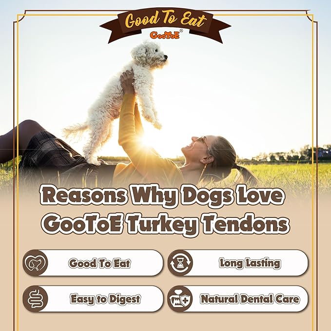 Gootoe Turkey Tendons for Dogs – All-Natural, Hypoallergenic Dog Treats, Rawhide Alternative, Long Lasting Puppy Chews, Healthy Dog Treats for Small Breeds, Rope (L), 16 oz Pack (1 lb)