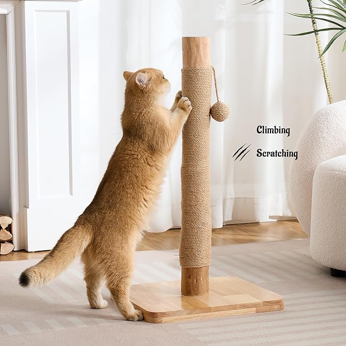 29" Tall Cat Scratching Post with Sisal Scratcher, Extra-Stable & Natural Solid Rubber Wood Base, Hanging Ball Toy for Indoor Cats Adults & Kittens, Beige