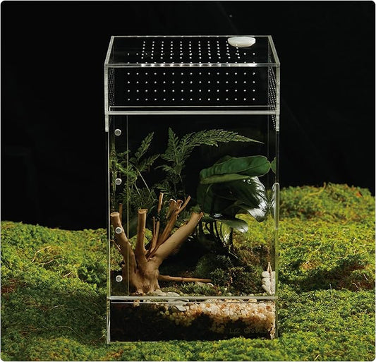 Acrylic Terrarium for Reptiles & Spiders – Small/Medium/Large Leak-Proof Enclosure (Horizontal/Vertical) | Ideal for Tarantulas, Jumping Spiders, Frogs & Geckos (Large Vertical)