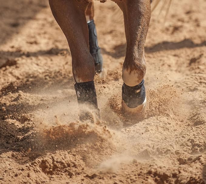 Classic Equine Legacy2 Support Boots, Front