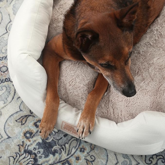 TOWN & COUNTRY EVERYDAY CuddleTown Faux Linen Comfy Cozy Cuddler Pet Bed, Supportive & Calming Egg Crate Foam, Non-Slip Bottom, Machine Washable Cover, Cream, Medium 28"x26"x8"