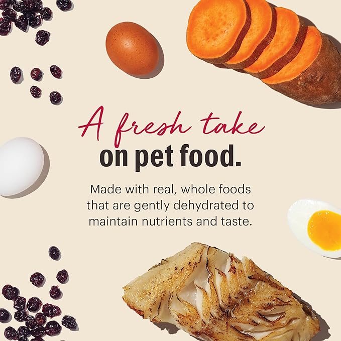 The Honest Kitchen Wholemade™ Grain Free Fish Dog Food, 4 lb Box