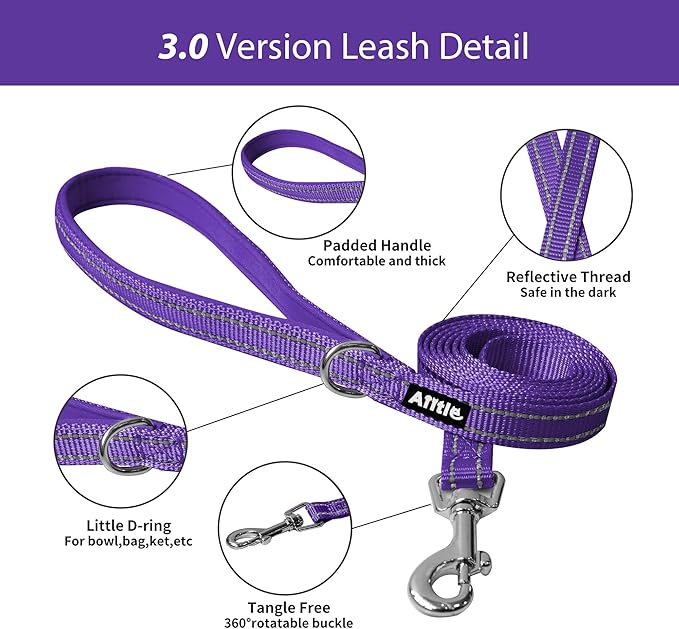 AIITLE Escape Proof Dog Harness - Step in Adjustable Dog Harness No Choke Over with Breathable Mesh and Quick-Release Buckle for Summer- Outdoor Walking, Camping, Training for Medium Dogs Purple XL
