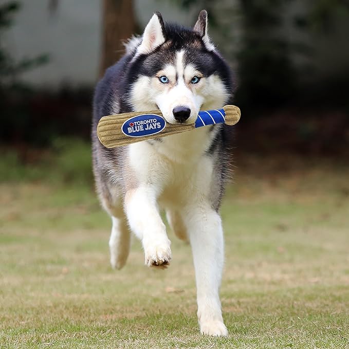 MLB Toronto Blue Jays Baseball Bat Toy for DOGS & CATS. Soft Corduroy Plush Dog Toy with Inner SQUEAKER, MLB Chew Toys for Dogs or Cats. Durable Fun Interactive Dog Toy with Team Names and Logo