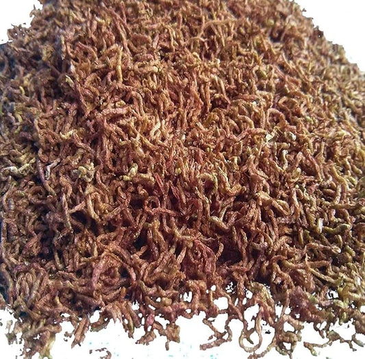 Aquatic Foods Inc. Freeze Dried Bloodworms, Fresh Grade A Floating Bloodworms for All Tropical Fish, Bettas, Discus, Cichlids, Turtles, Carnivore Carnivorous Plants - 5oz Bag