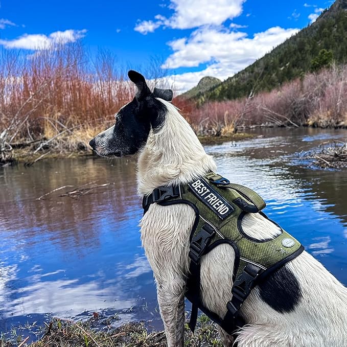 AUROTH Dog Harness, Escape Proof Dog Harness for Large Dogs, No Pull Dog Harness with Lift Handle, Soft Padded Reflective Adjustable Dog Vest Harness, Large Dog Harness for Walking Hiking Training