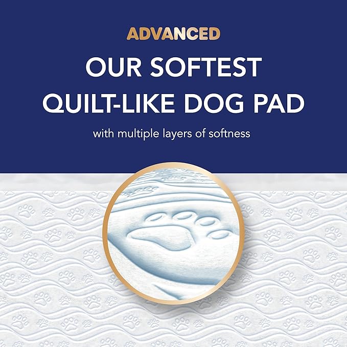 Scott Pet Guard Advanced Dog Pads - Large - 22" x 22" - 100 Pack of Pet Pads