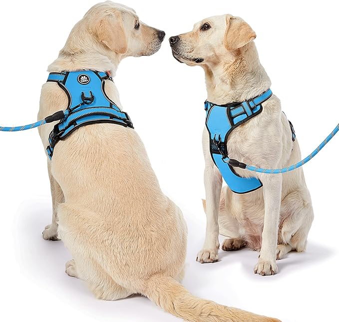NESTROAD No Pull Dog Harness,Adjustable Oxford Dog Vest Harness with Leash,Reflective No-Choke Pet Harness with Easy Control Soft Handle for Large Dogs(X-Large,Blue)
