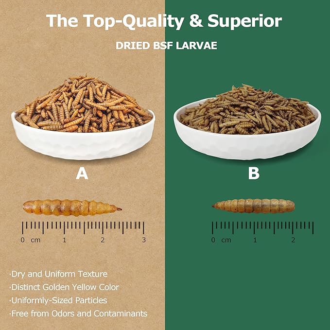 Premium Dried Black Soldier Fly Larvae for Chickens - 5LB High Calcium Supplement, Molting and Laying Support, Non-GMO & High-Protein Treats, Food for Wild Birds, Ducks, Reptile | Top Grade