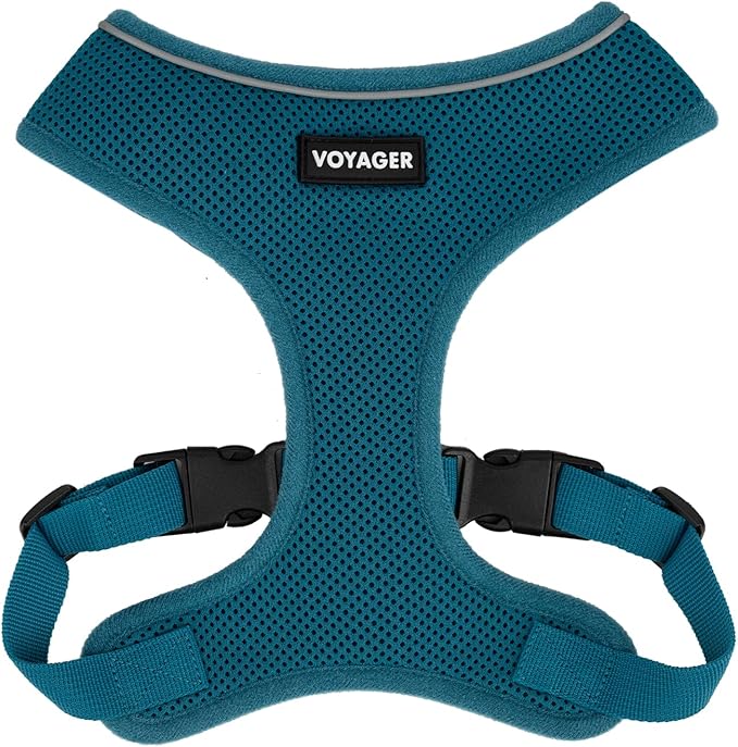 Best Pet Supplies Voyager Mesh Dog Breathable Harness Reflective Stitching, All Weather Adjustable for Walking Training, or Running - Heavy Duty & Durable, 220 Style (Turquoise), XL