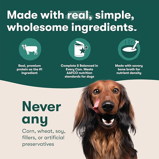 Jinx Premium Wet Dog Food Cans - Beef Pate - Grain-Free Canned Dog Food Pate & Topper with Real Ingredients & No Fillers - All Life Stages, Breeds & Sizes - 12-Pack, 13 Oz