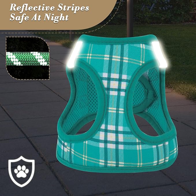 Athena Collection Step-in Dog Harness with 5 ft Leash, Small to Medium Dog Harness Leash Set Medium No Pull Dog Vest Harness with Reflective Strips Adjustable Velcro, Easy Walk Puppy Harness, Green