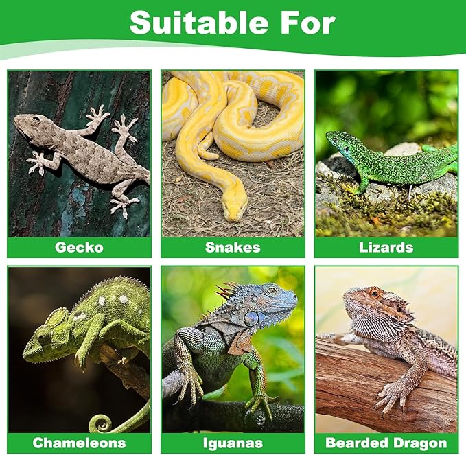 kathson Reptile Carpet, Natural Moss Mat for Terrarium, Bearded Dragon Tank Flooring Green Substrate Liner for Leopard Gecko Hermit Crab Lizard Tortoise (39.37" X 11.81")