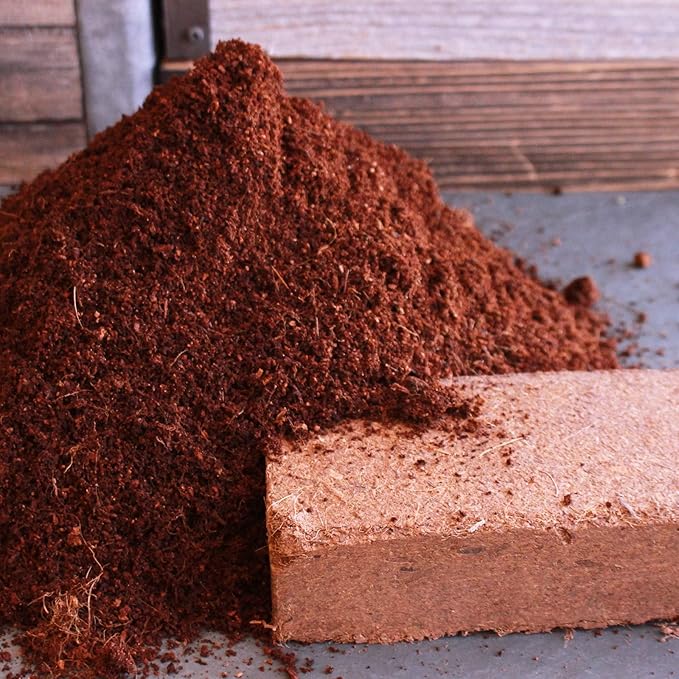 Minute Soil Compressed Coco Coir 6 Pack – Organic Peat-Free Medium Expands to 9 Gal – Indoor Gardening, Microgreens, Seed Starting, Houseplants, Herbs, Vegetables, Planters