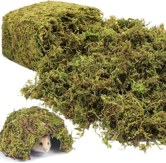 Riare 25QT Natural Hamster Moss Bedding Nesting-Soft Forest Moss Hamster Habitat Reptile Moss for Dwarf Syrian Hamsters, Mices, Gerbils, Reptiles, Small Pets (1.3LBS)