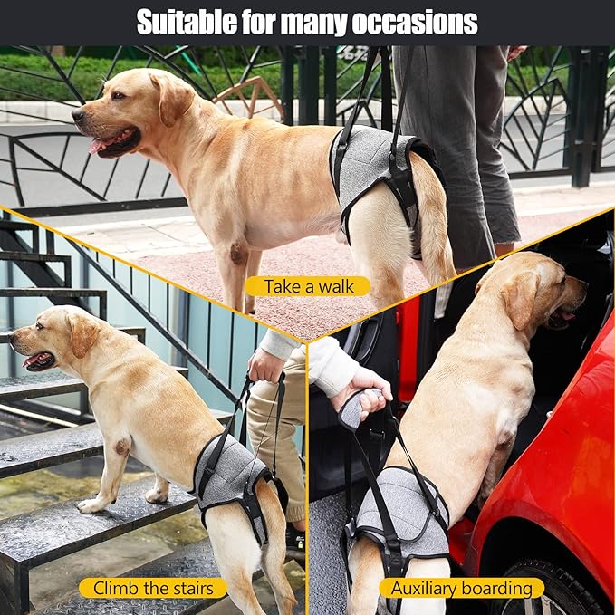 Dog Leg Support for Back Legs, Adjustable Lift Harness for Dog, Breathable Dog Sling for Rear Legs Grey X-Large