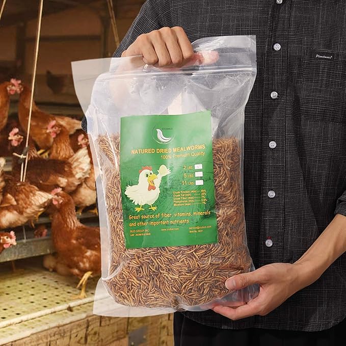 Non-GMO Dried Mealworms,2LB 100% Natural Large Size No Moisture,Treats for Birds Chickens Hedgehog Hamster Fish Reptile Turtles