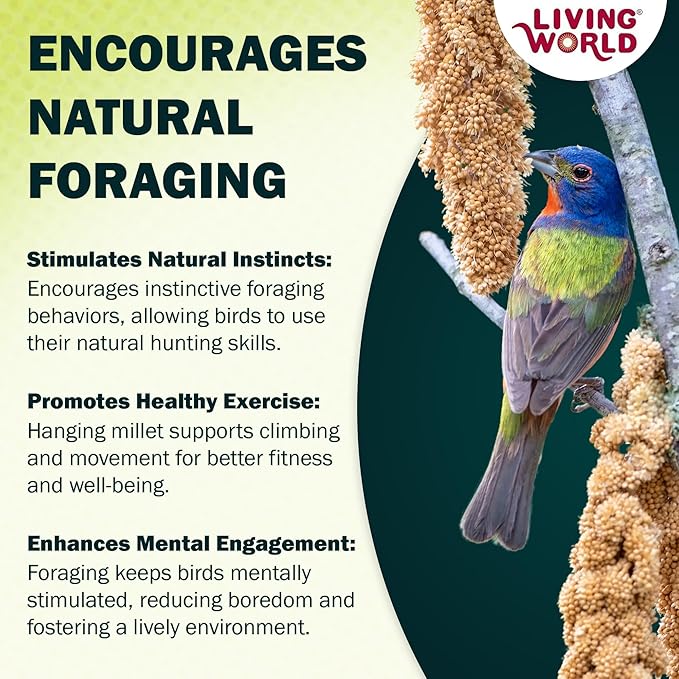 Living World – Millet Spray for Birds, 17.6 Oz – Premium Treat for Budgies, Canaries, Finches, Cockatiels and Other Pet Birds