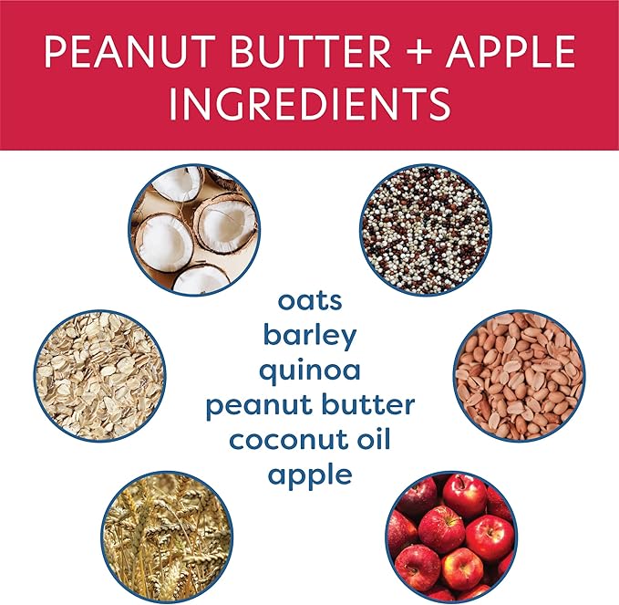Body and Soul Peanut Butter + Apple Crunchy Dog Treats – Superfood Biscuits Baked with Oats, Barley & Quinoa – All-Natural Plant Based Clean Protein, No Additives or Fillers – Made in USA, 10oz