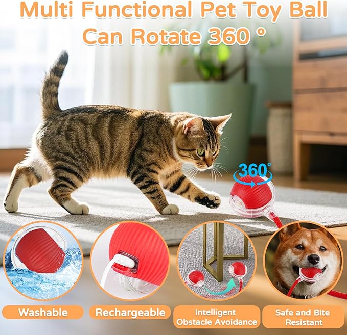 2025 New 2Pack Cat Ball Kitten Toys for Indoor Interactive Kitty Ball Toy Speedy Tail 360° Automatic Rolling(Red Grey)
