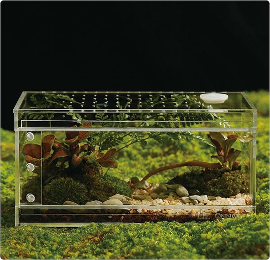 Acrylic Terrarium for Reptiles & Spiders – Small/Medium/Large Leak-Proof Enclosure (Horizontal/Vertical) | Ideal for Tarantulas, Jumping Spiders, Frogs & Geckos(Small Horizontal)