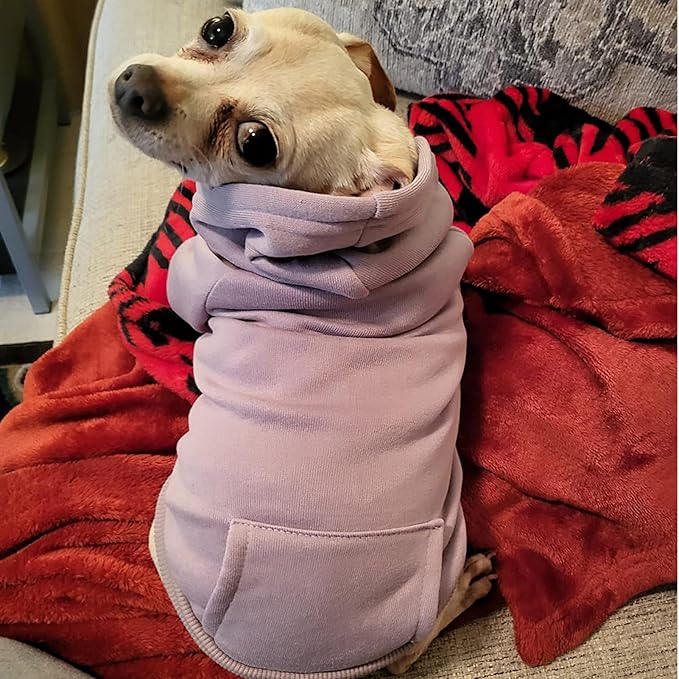Jecikelon Winter Dog Hoodie Sweatshirts with Pockets Warm Dog Clothes for Small Dogs Chihuahua Coat Clothing Puppy Cat Custume (Purple, X-Small)